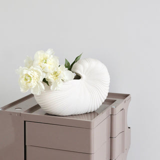 Shell Pot