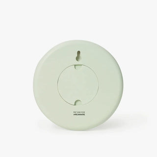 Wall Clocks - Mint