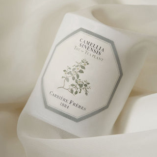 Scented Candle - Tea Plant