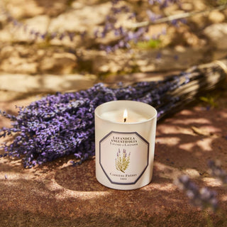 Scented Candle - Lavender