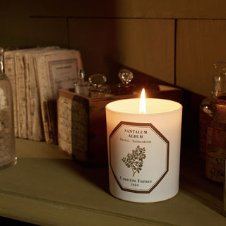 Scented Candle - Sandlewood